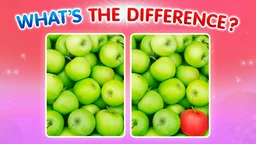 What's The Difference? What's The Difference?